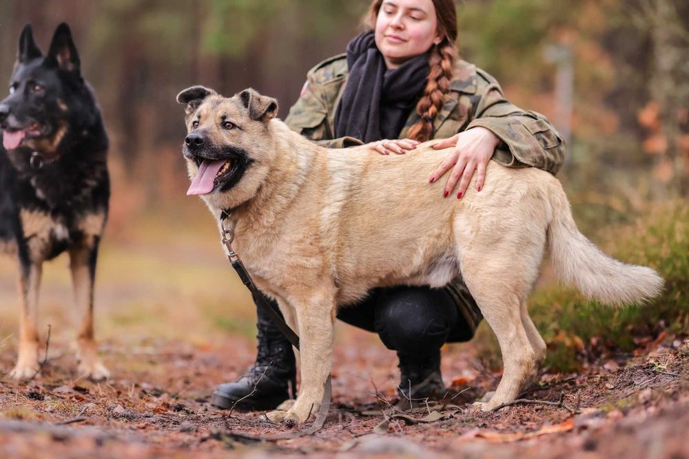 May , cudowny molos do adopcji