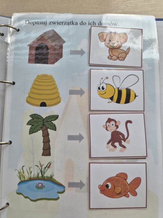 Segregator, pomoc dydaktyczna