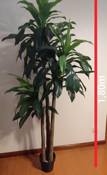 Planta Artificial Dracaena Grande (1,80m) – Como Nova