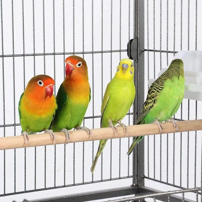 Nowa Klatka woliera dla ptakow/papug