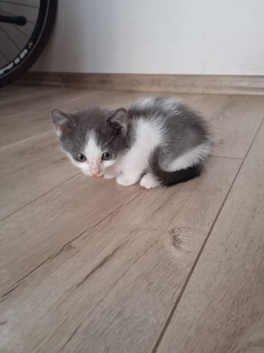 Малюк у добрі руки