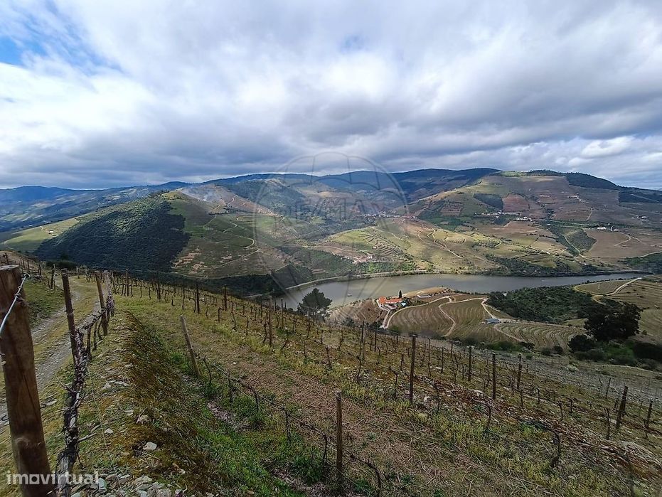 Terreno  para venda