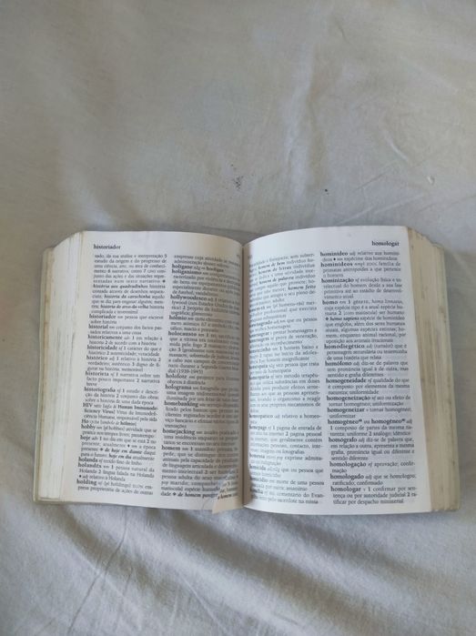 Dicionário língua portuguesa