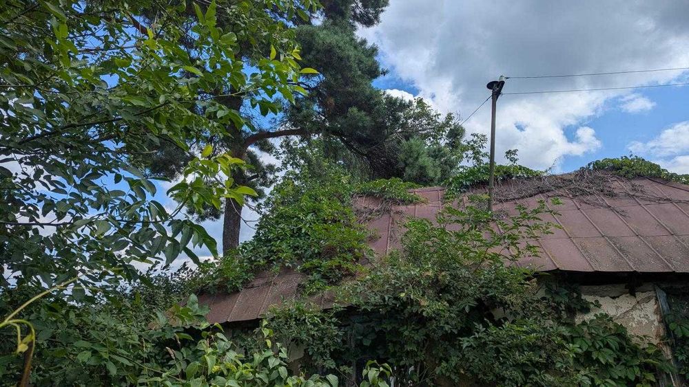Продається ділянка під будівництво у с. Липівка(12)