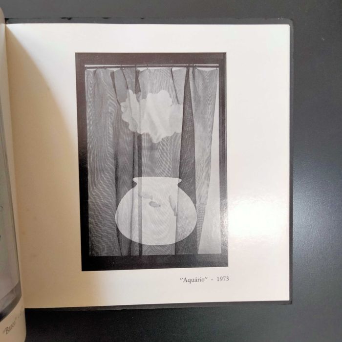 Ana Vieira - Galeria Judite da Cruz