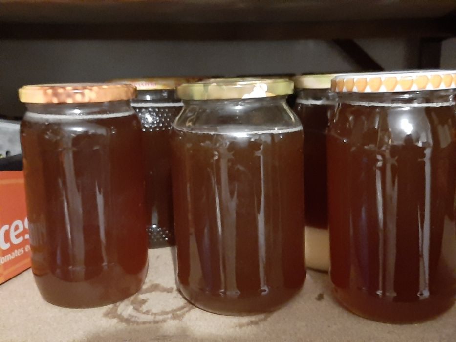 Miód z przydomowej pasieki.