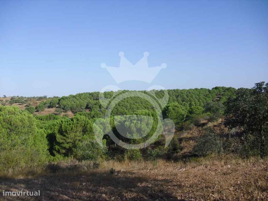 Propriedade Rustica Com 19,125 Hectares