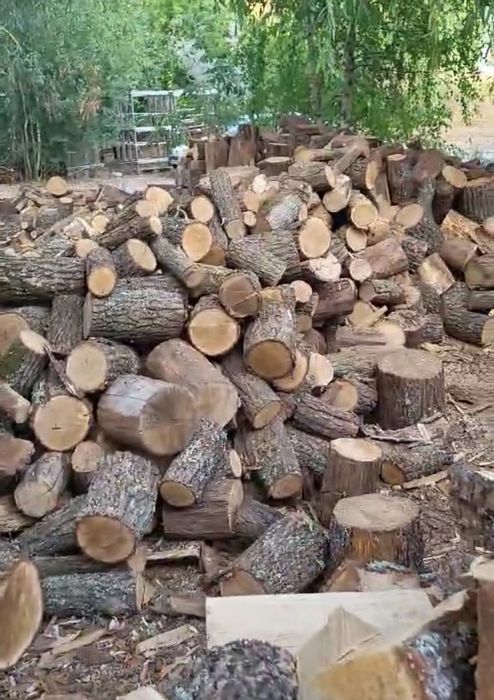 Дрова ОПТ та роздріб. ДУБ,БЕРЕЗА,ВІЛЬХА,СОСНА. 1/8/10/20 ск/м