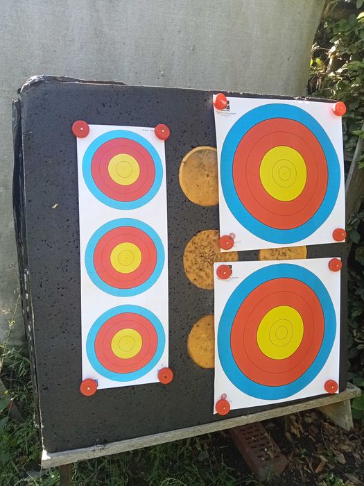 Łuk bloczkowy tarczowy Hoyt Vantage Elite Plus Pro Series zestaw kompl