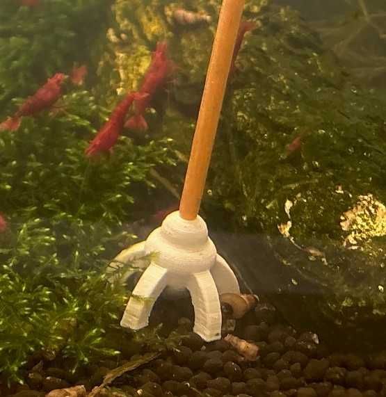 Sticks biológicos para camarões (Neocaridina, Caridina)