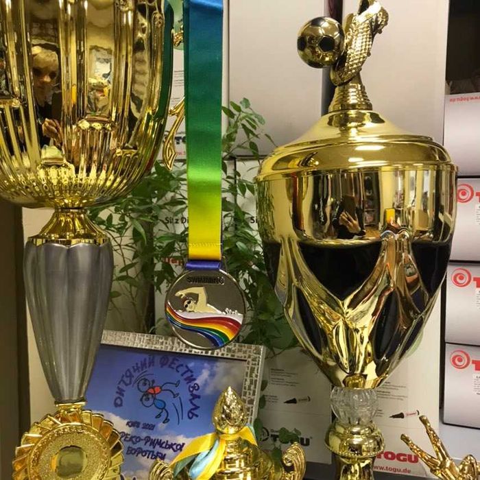 Наградная атрибутика спортивные Кубки Медали Статуетки (ОПТ и розница)