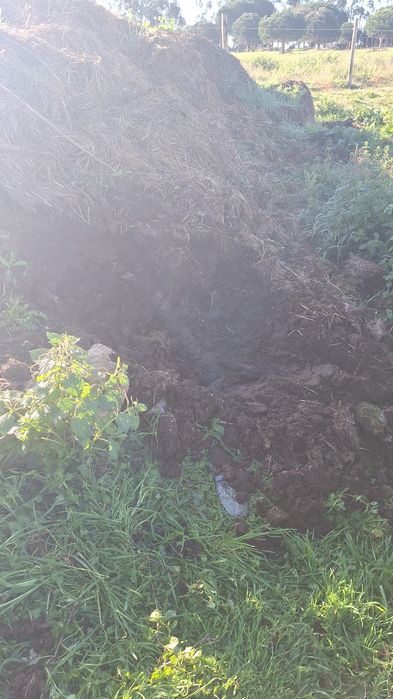 Estrume em BENAVENTE