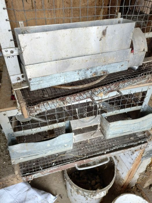 Клітки для перепілок , чи молодняка птиці.