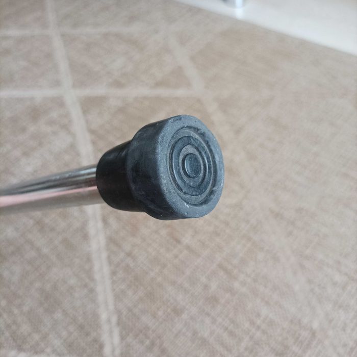 Палиця трость тростина