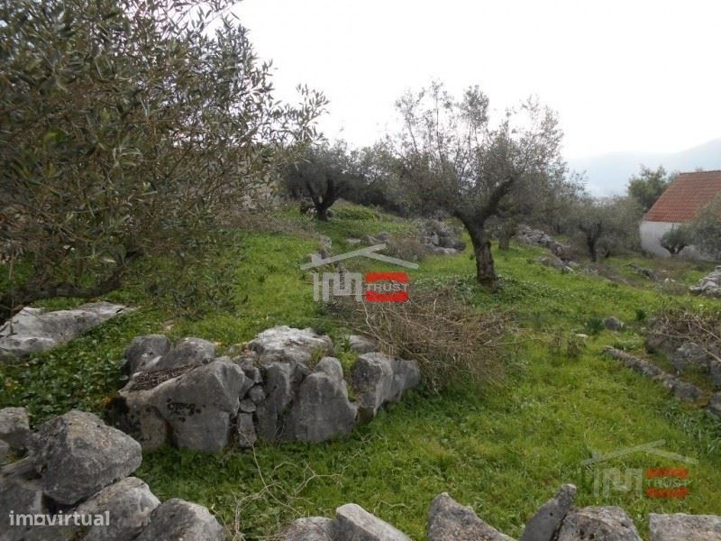 Plot of Land