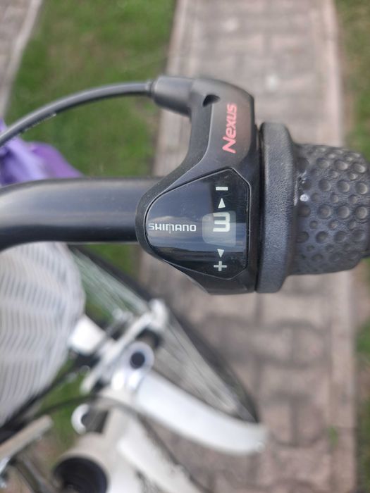 Rower z koszykiem rotterdam