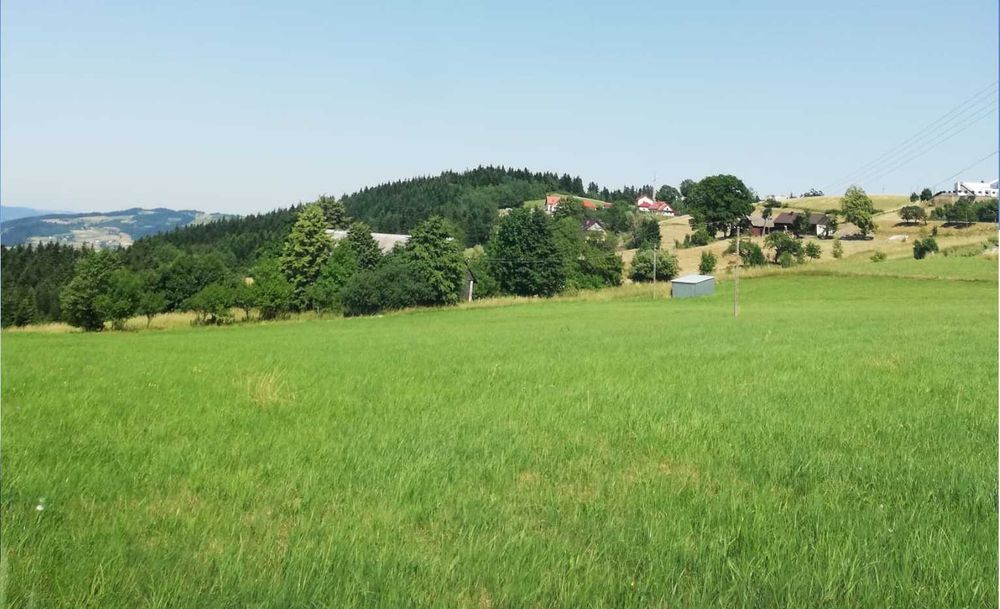 Sprzedam piękną widokową działkę budowlaną  - Wysokie gm.Limanowa