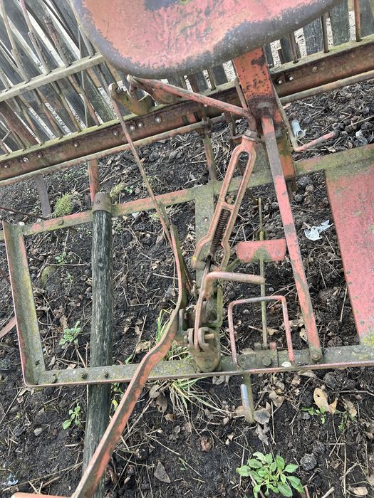 Кінська гребачка