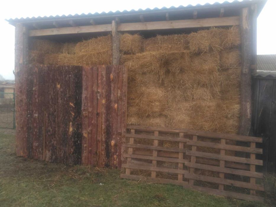 Продаю тюки соломи