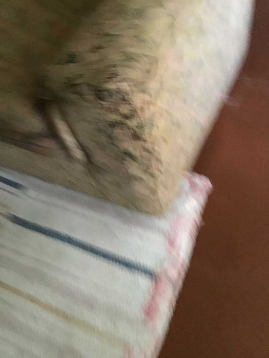 sofa individual tons castanho