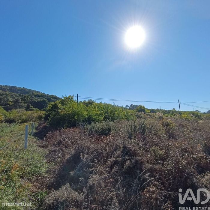 Terreno em Moledo e Cristelo