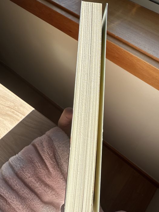 Livro raul minha alma: foi sem querer que te quis