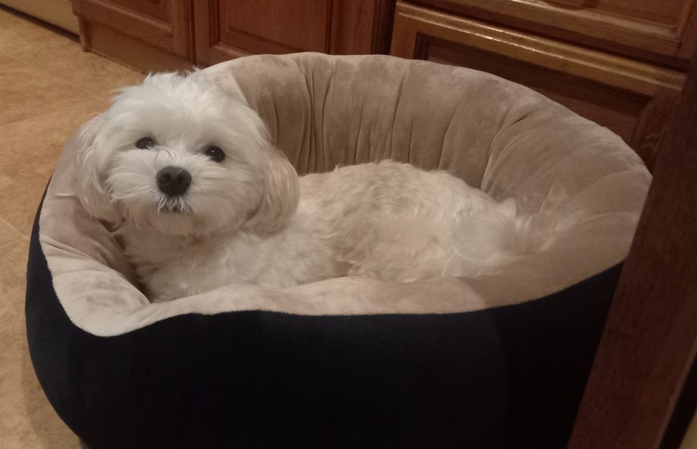 Шукаю дівчинку для злучки