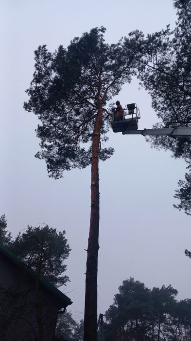 Usługi  ogrodnicze Transport wywrotką 4t