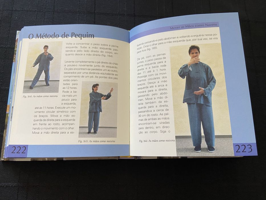 Manual de Tai Chi