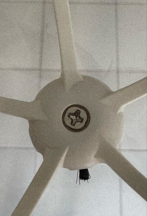 Roborock Q7 Max - Escovas principal (1 uni)