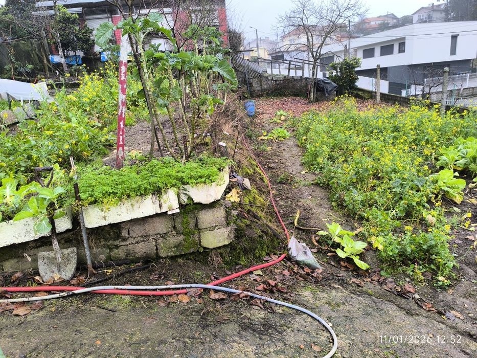 Oportunidade Terreno Urbano 1000m2