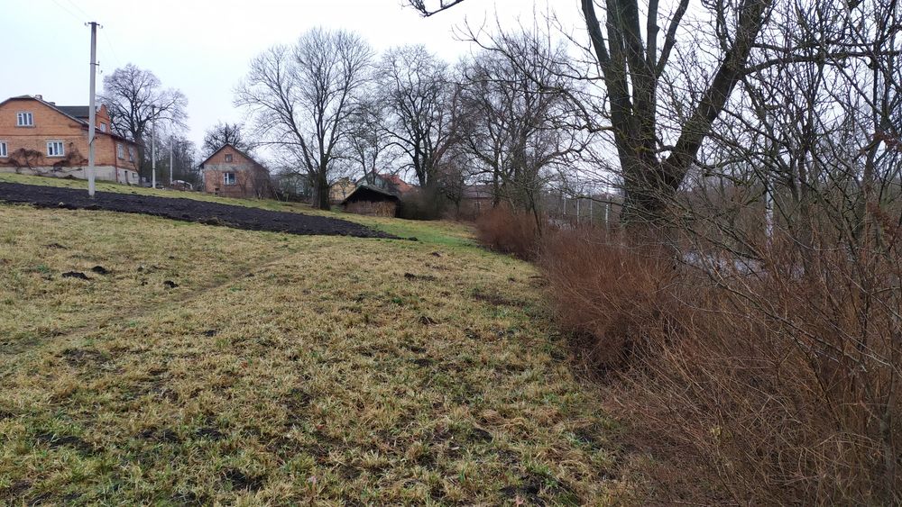 Продам кругляк ясеня.