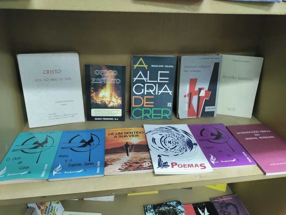 Conjunto de 80 livros temáticos de Religião, Moral e Vida Espiritual