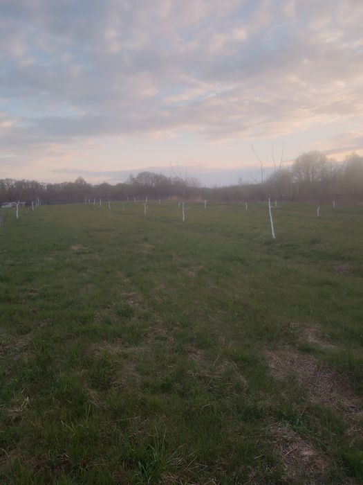 Продам біля міста земельну ділянку