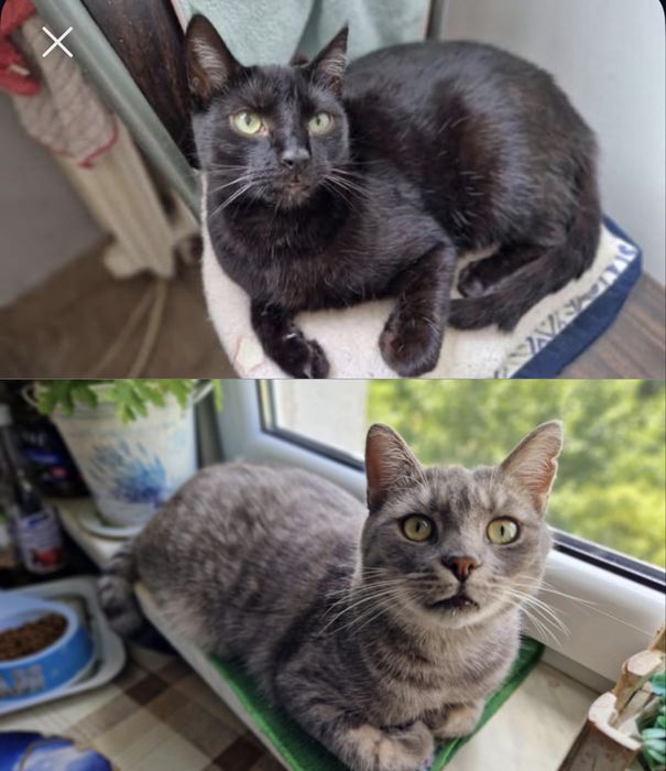 KRYSTIAN I GREY szukają domku