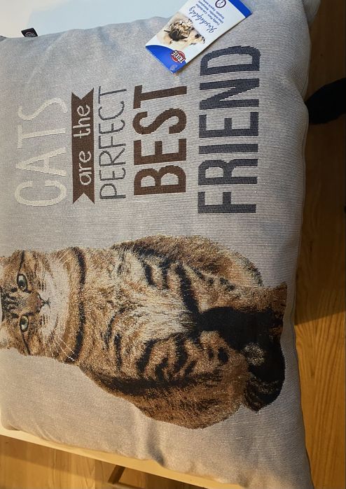 Pet kit acessórios para animais