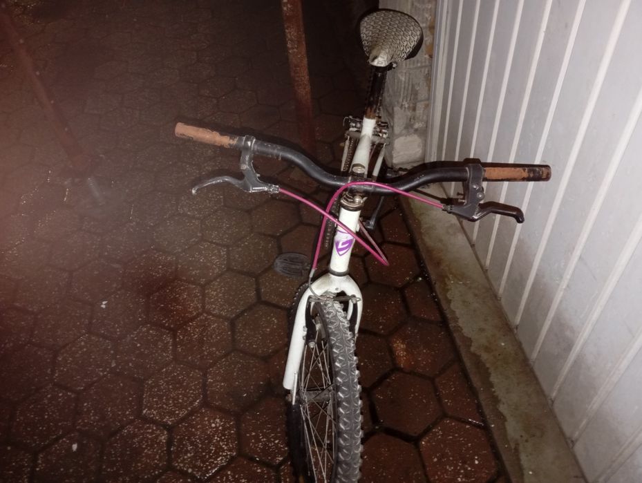 Bicicletas senhora e criança