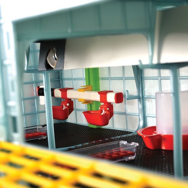 Odchowalnik dla piskląt -  2 Poziomy - Wys. 40 cm