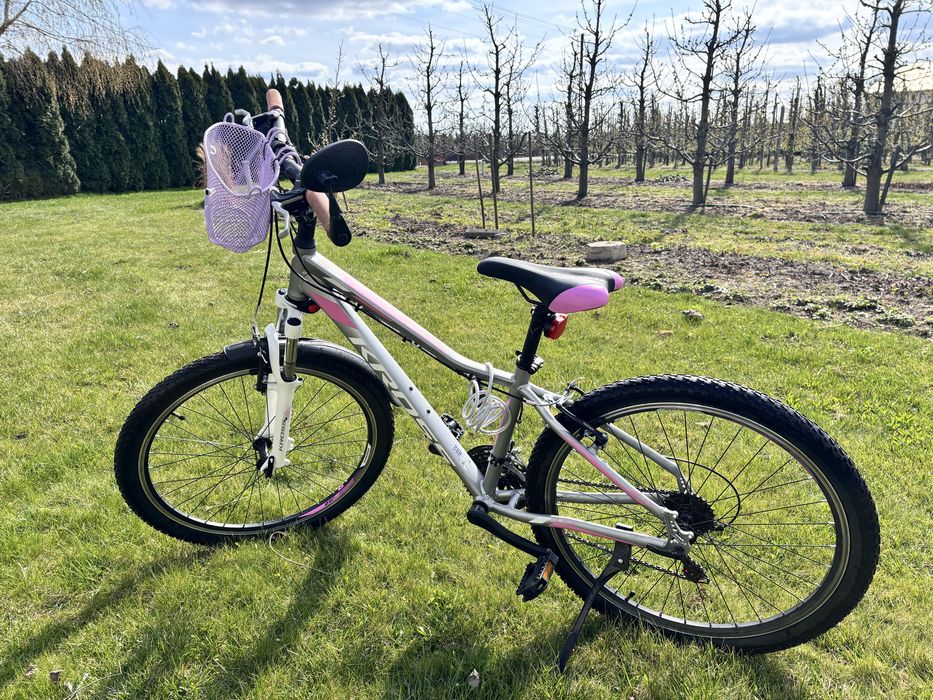 Rower kross Lea 26”