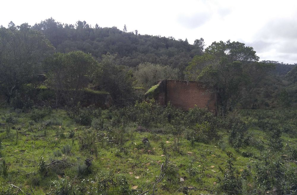 Terreno com Ruína Legalizada – 11,85 ha – Aljezur