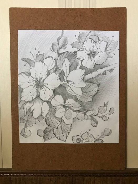 Графіка "Цвіт яблуні" простим олівцем, А4, ДВП підложка