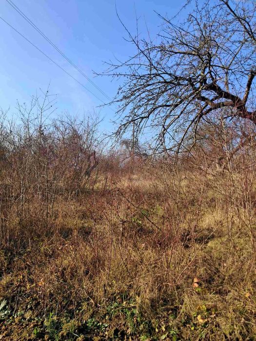 Продаж земельної ділянки під забудову в с.Бохоники 0962