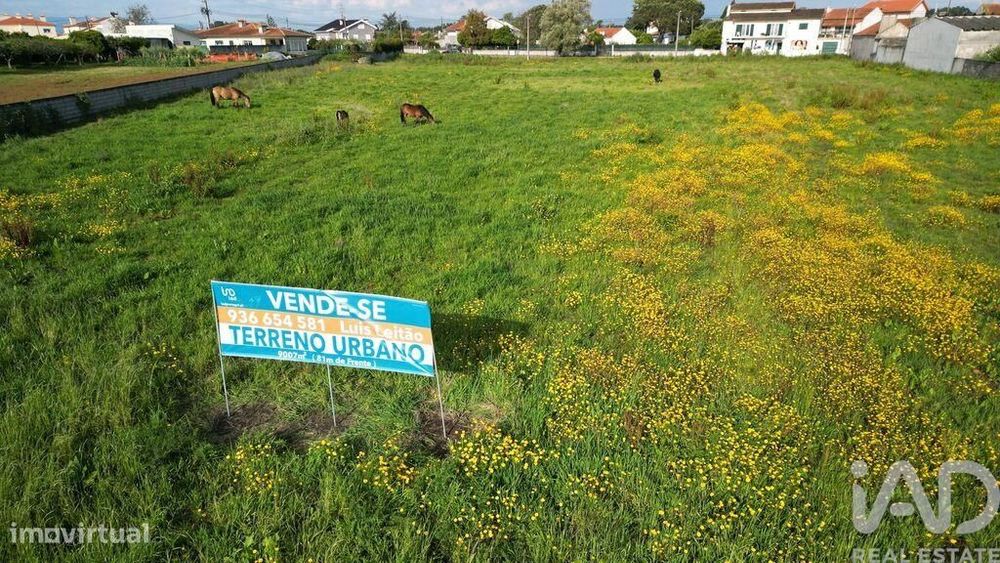 Plot for construction in Oliveirinha, 9007.00 m²