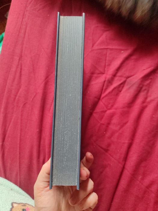 Енн Петчетт Голландський дім