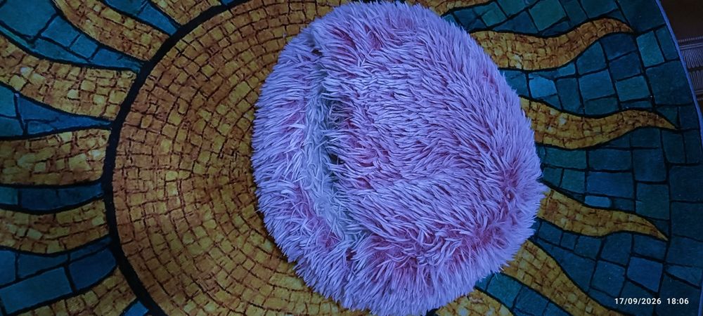 Casa de peluche , para gatos