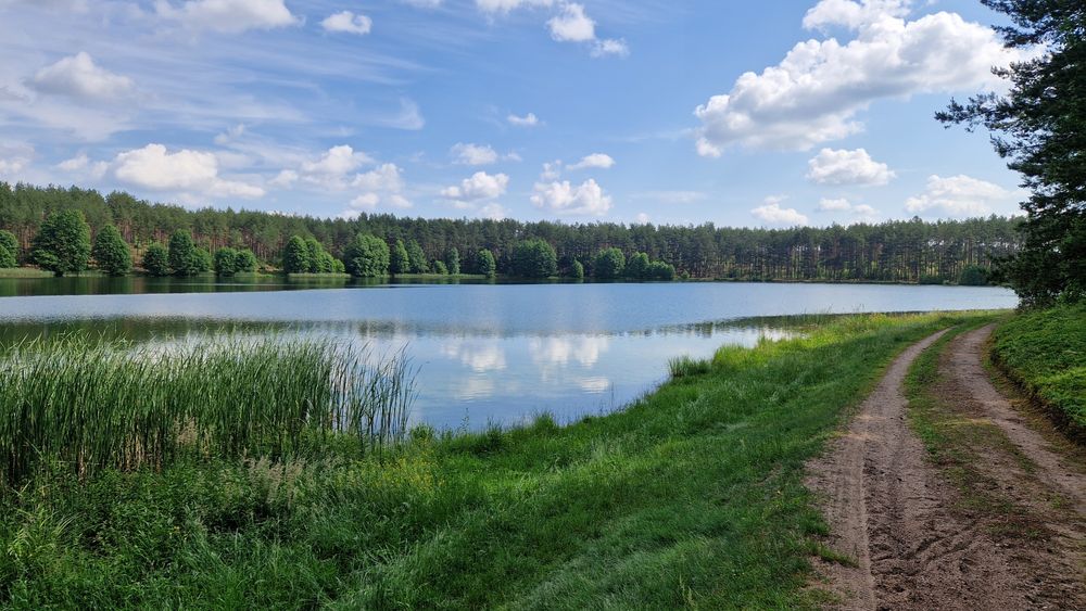Działka budowalna okolice Wdzydz z MPZP. - Widok 4