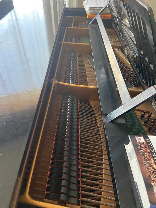 Piano Bechstein bem tratado