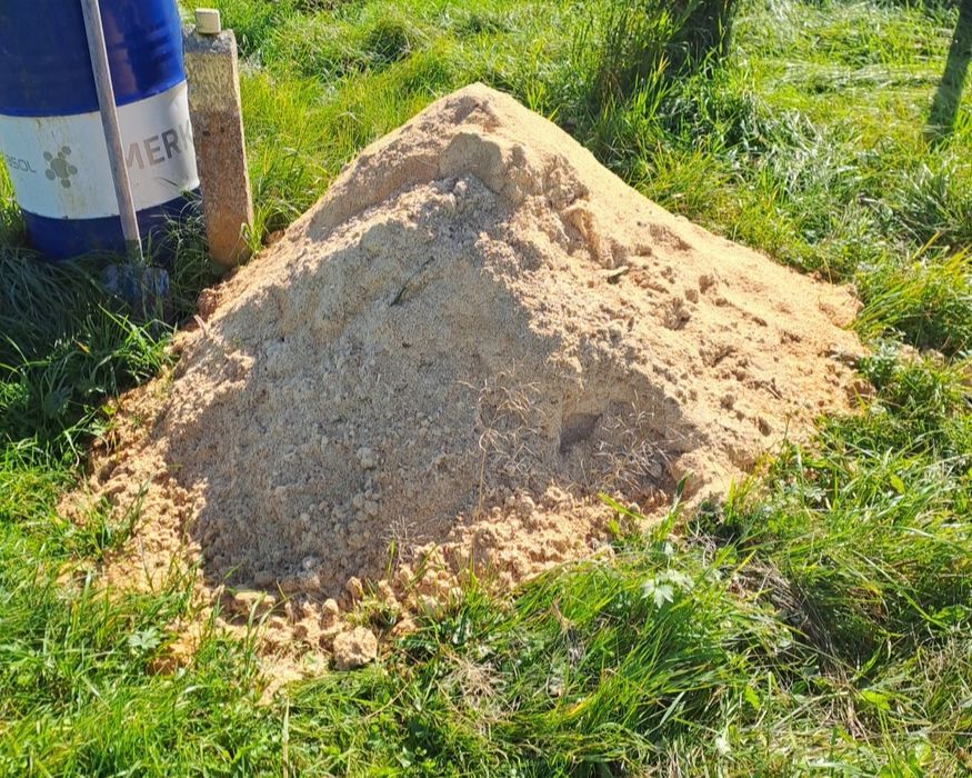 Troty wiórka sosnowe