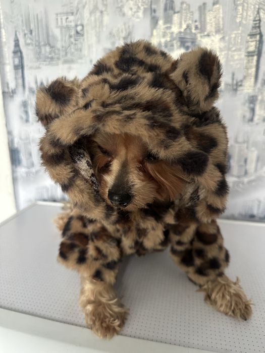 Светр з леопардовим принтом для тварин