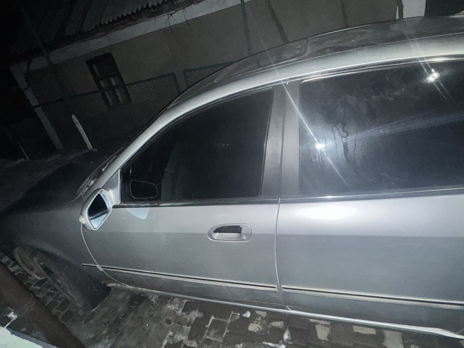 Cherry Easter 2008 года